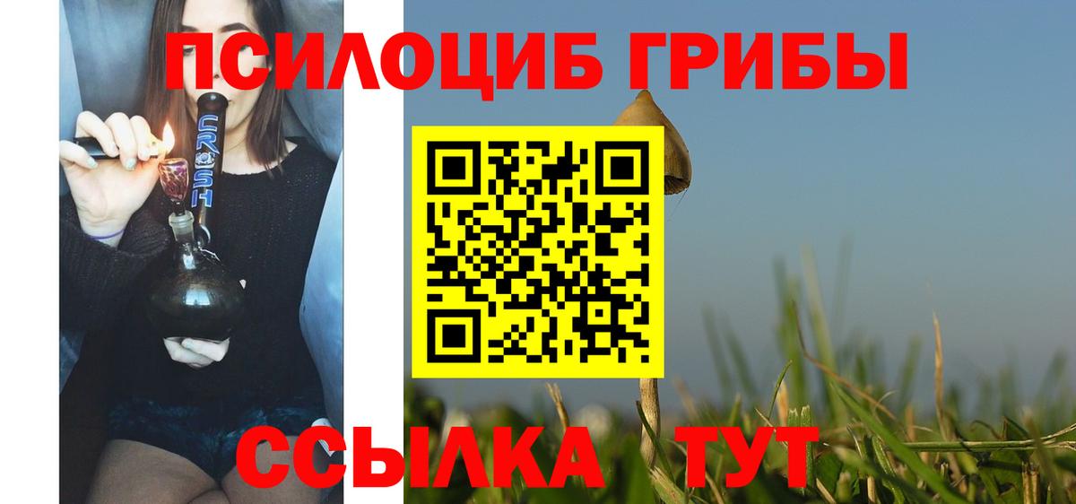 Галлюциногенные грибы Psilocybe  закладки  Вход с VPN  Стрежевой  Галлюциногенные грибы Psilocybine cubensis 